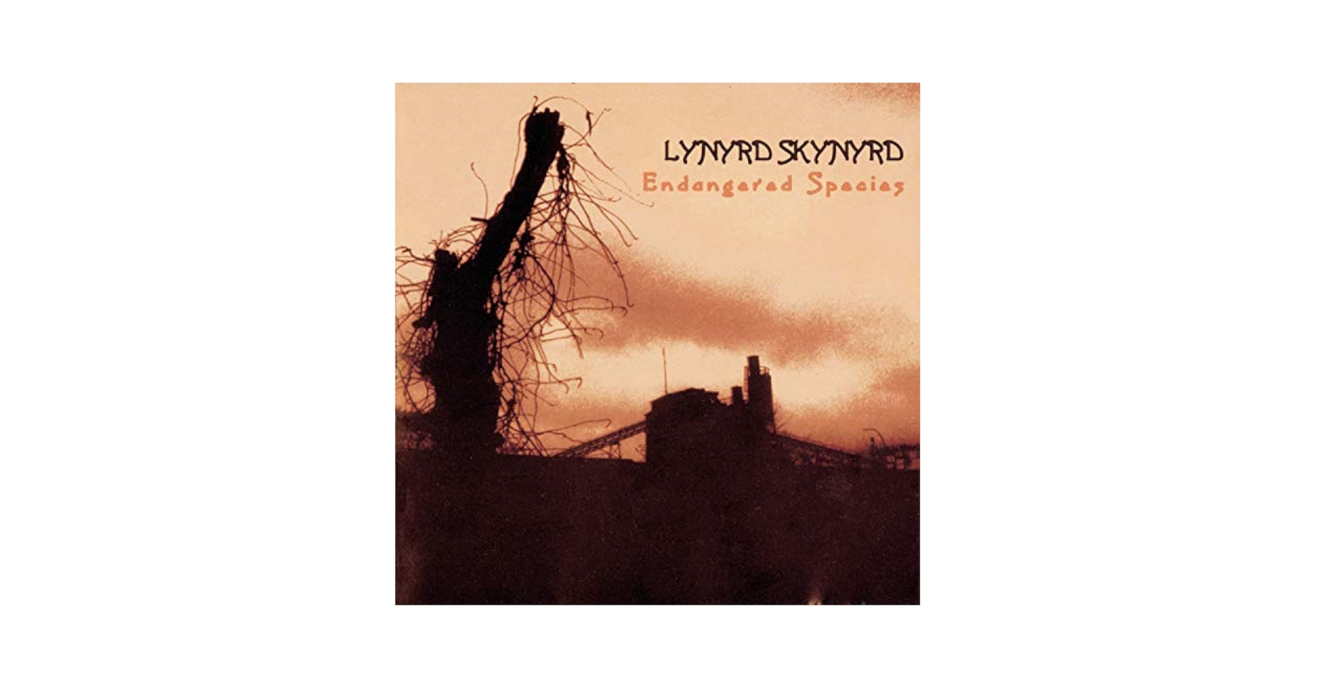 Deluxe Edition！国内版2CD！Lynyrd Skynyrd lynyrd-skynyrd-one-more-from-